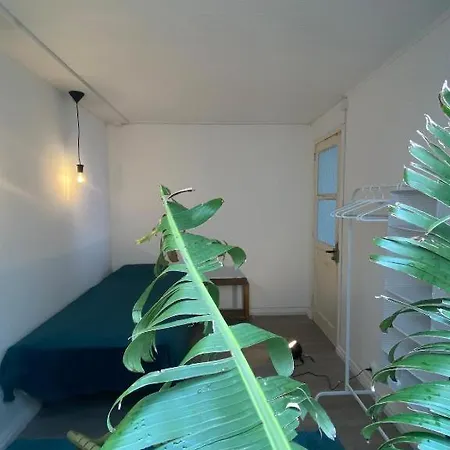 Casa15 Apartment Santo Antonio (Sao Miguel)